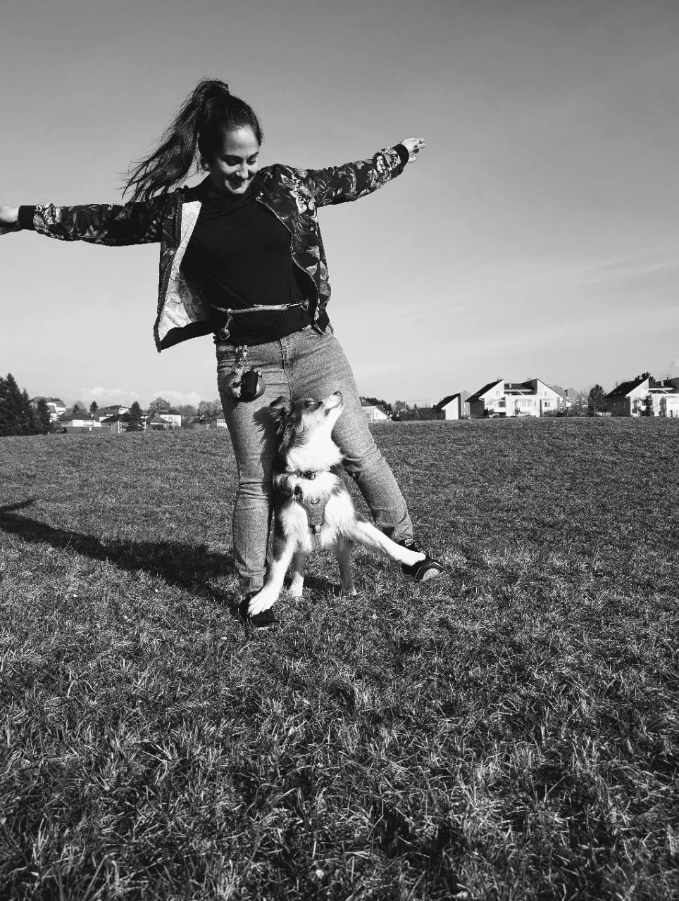 Julia arbeitet über Körpersprache mit ihrem aufmerksam zu ihr blickenden Australian Shepherd.